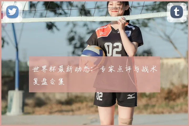 世界杯最新动态：专家点评与战术复盘合集